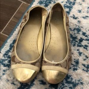 Gold coach flat